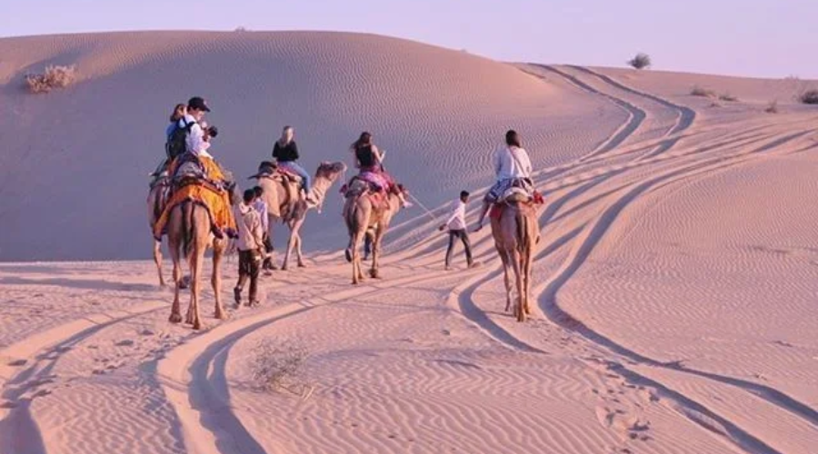 Showing  Jaisalmer